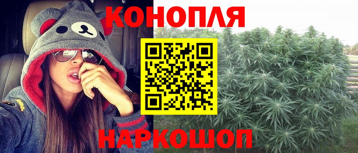 Шишки марихуана Amnesia Моздок